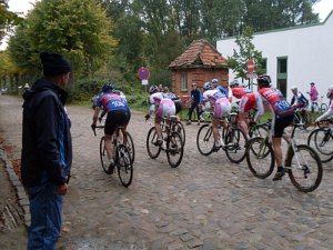 Dassow Cross-Cup 188